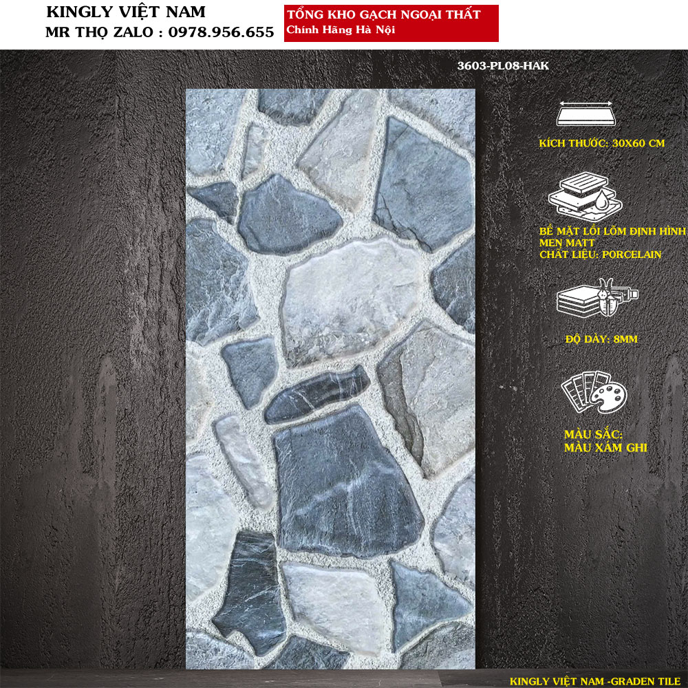Gạch ốp tường ngoại thất ngời trời 30x60 3606-PL08